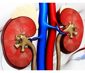 Renin angiotensin-aldosterone system blockers:  chronic kidney disease and cardiovascular risk