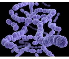 Місце ендогенних антимікробних пептидів  в патогенетичних механізмах розвитку пневмонії, викликаної Streptococcus pneumoniae,  у дітей раннього віку