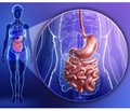 Probiotic correction of functional gastrointestinal diseases in children
