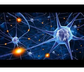 Вплив нейроадаптогенів на процес відновлення функцій нервової системи дитини