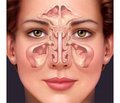 How to help your nose: professional advice