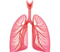 Cтруктурно-функціональний стан артерій великого кола кровообігу у пацієнтів із легеневою артеріальною гіпертензією