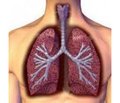Acute respiratory distress syndrome in children. What’s new?