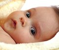 Состояние нервных элементов в органах   и тканях детей раннего возраста при врожденной   генерализованной цитомегаловирусной инфекции  