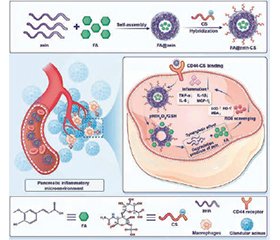 Фармакологічна регуляція мітохондріального гомеостазу при гострому панкреатиті: від автофагії до нанотерапії
