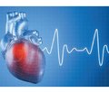 Физиологические основы  применения анализа вариабельности  ритма сердца для выявления групп риска посттравматического стрессового расстройства