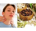 New possibilities of phytotherapy for hypothyroidism