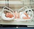 Ранні ентеральне харчування і постнатальний фізичний розвиток недоношених дітей  із дуже малою масою при народженні