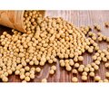 Soy phytoestrogens: hormonal activity and impact on the reproductive system