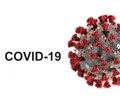 COVID-19: a new etiological factor of Graves’ disease?