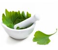 The Possibilities of Ginkgo Biloba Preparations in Strategy of Vascular Dementia Pharmacotherapy