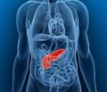 Diagnostic markers and the method of predicting of chronic pancreatitis in patients with type 2 diabetes mellitus