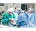 Майбутнє трансплантації органів: органоспецифічна толерантність