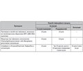 Differentiated Approach to the Treatment and Secondary Prevention of Asthma on the Background of Persistent Infections in Children