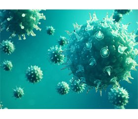 Effectiveness of the immunomodulator thymalin in experimental coronavirus infection