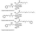 Anti-biofilm activity of anti-matrix molecules