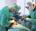 Surgical treatment of the consequences of modern combat trauma