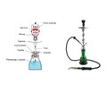 Adverse effects of waterpipe smoking on the cardiovascular system