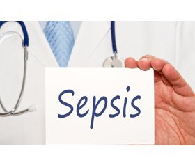 Surviving Sepsis Campaign Guidelines:  evolution of early goal-directed therapy