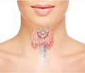 Influence of hypothyroidism in men on androgenic function