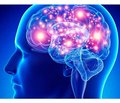 Ламотриджин: современный подход к лечению эпилепсии