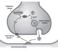The role of cholinergic deficiency in the pathogenesis of neuropsychiatric diseasest
