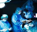 Динаміка клініко-рентгенологічних змін васкуляризованого малогомілкового трансплантату при заміщенні великих дефектів кісток кінцівок