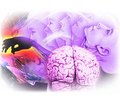 К вопросу о патогенезе эпилепсии